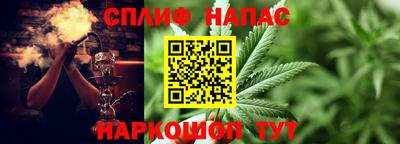 прущие грибы Малоярославец
