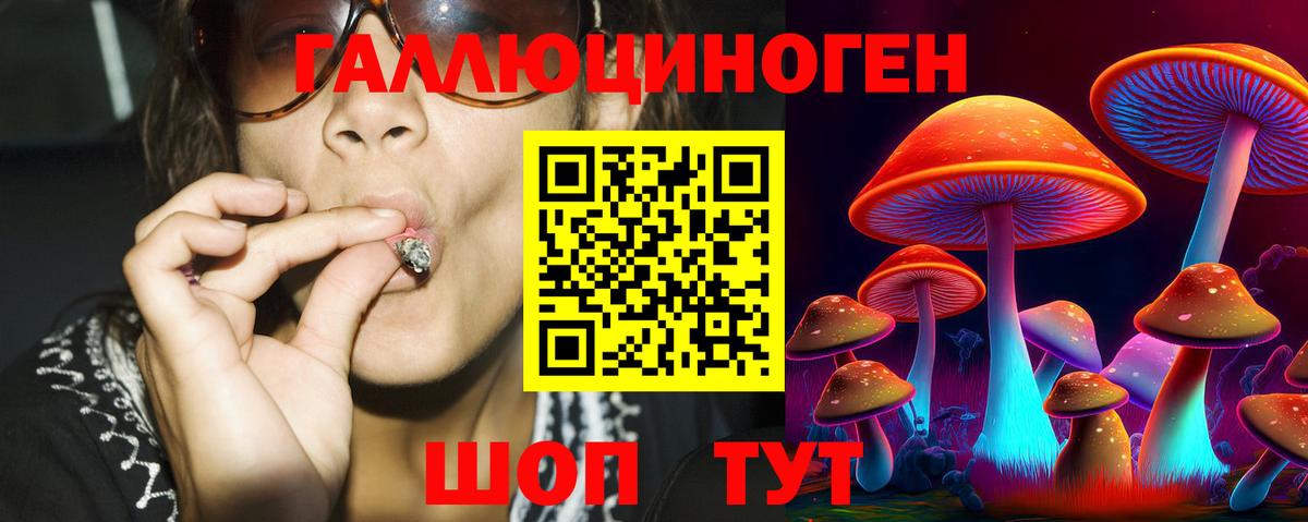 Псилоцибиновые грибы Cubensis  Галлюциногенные грибы мицелий  Сердобск  Вход с VPN 