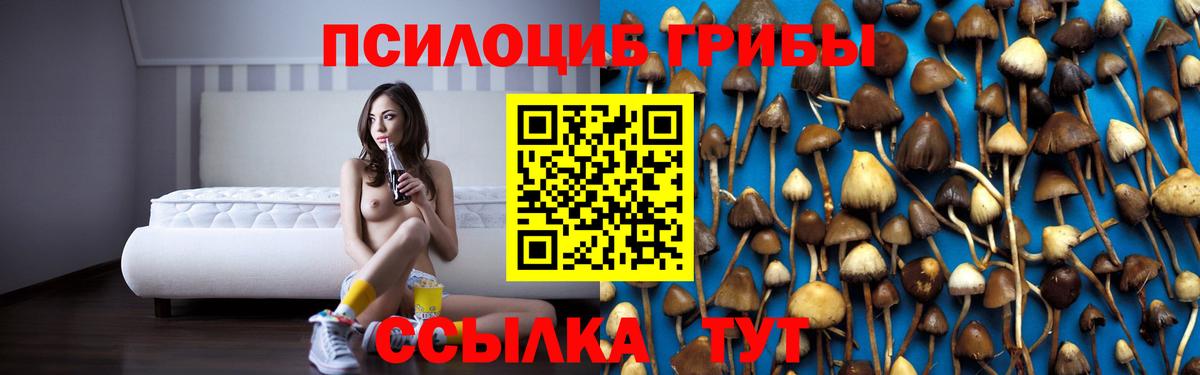 Псилоцибиновые грибы мухоморы Сердобск